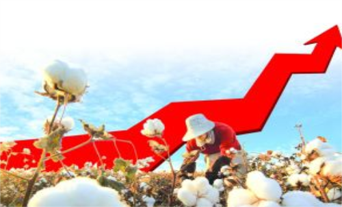 棉花期貨價格變化和哪些因素有關？